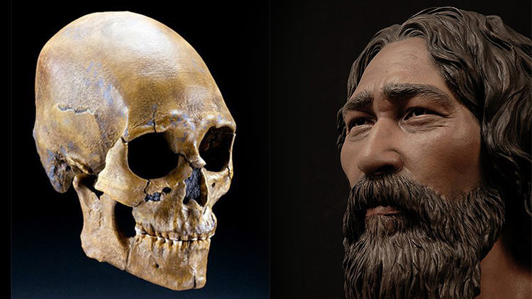 Los restos del Hombre de Kennewick serán enterrados en las tierras de su tribu tras 20 años de pleitos